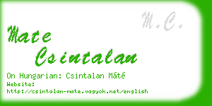 mate csintalan business card